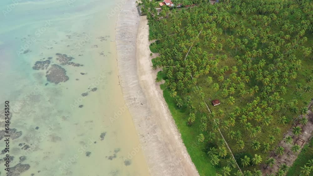 Praia do Patacho na Rota dos Milagres em Alagoas Visto de Cima com D\rone 4k - Nordeste - Brasil - Praia do Patacho na Rota dos Milagres em Alagoas Visto de Cima com D\rone 4k - Nordeste - Brasil -