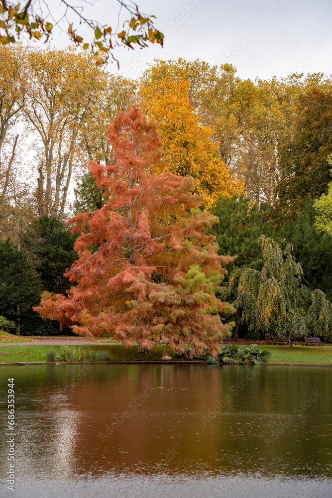 le paysage en automne à Strasbourg parc Orangerie le paysage en automne à Strasbourg parc Orangerie