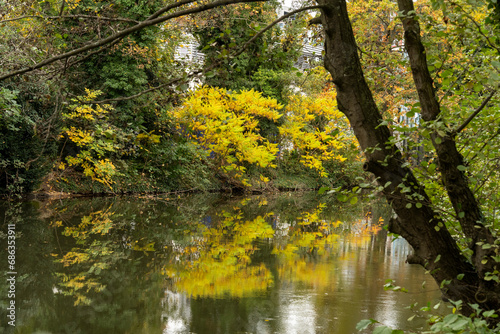 le paysage en automne    Strasbourg parc Orangerie