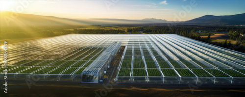 A project of the large modern greenhouses.