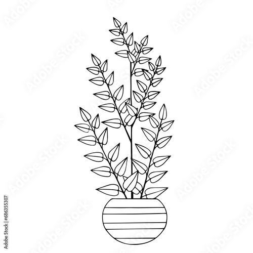 Linear sketch of indoor plants, tropical leaves in a flowerpot.Vector graphics.