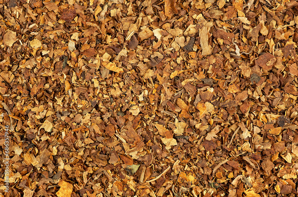 Dried tobacco leaves texture as background, top view. Smoking tobacco texture. Dried tobacco leaves texture as background, top view. Smoking tobacco texture.