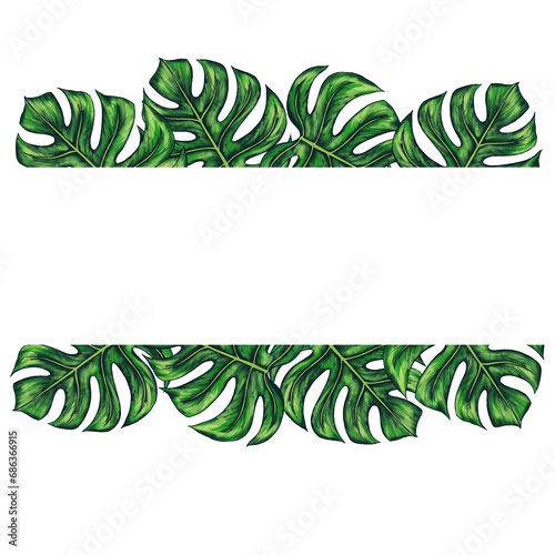 Square template for text with tropical monstera palm leaves. Frame or border with jungle rainforest exotic plants. Isolated on white realistic hand drawn illustration for label design.