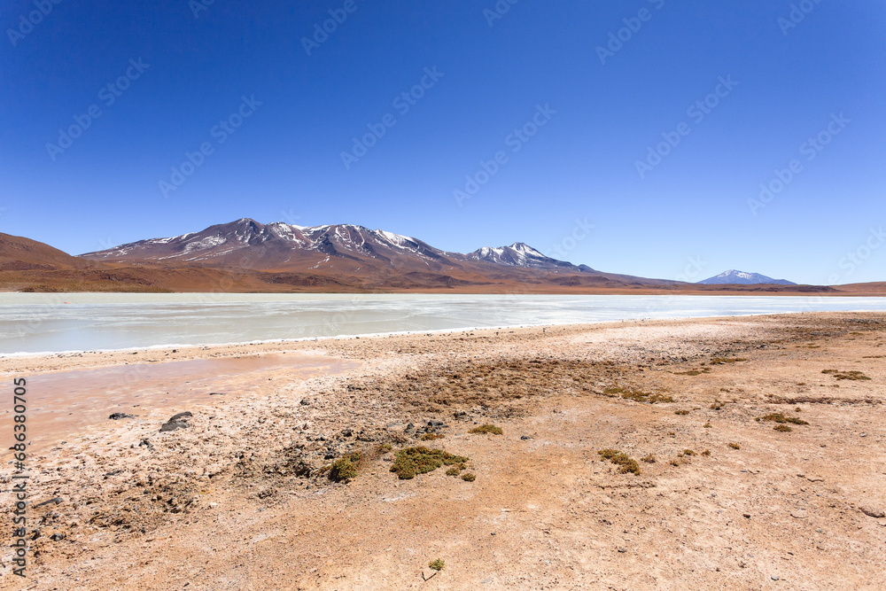 Laguna Hedionda view, Bolivia
