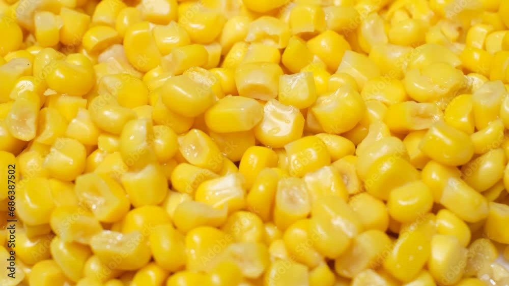 Boiled corn rotates in a circle. Corn background Boiled corn rotates in a circle. Corn background