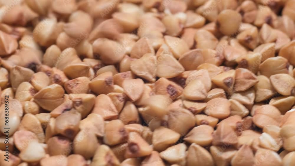 Buckwheat harvesting. Ripe buckwheat seeds rotation in a circle. Macro video Buckwheat harvesting. Ripe buckwheat seeds rotation in a circle. Macro video