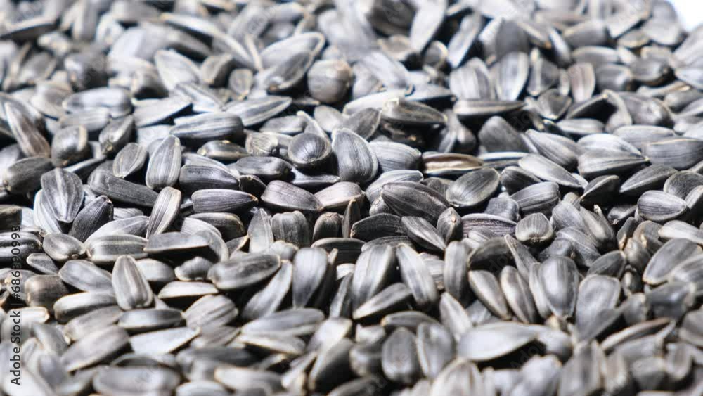 Ripe black sunflower seeds spinning in a circle. Harvesting in autumn Ripe black sunflower seeds spinning in a circle. Harvesting in autumn