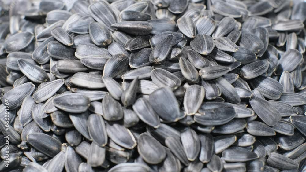 Close-up of black sunflower seeds spinning in a circle. Sunflower seed product Close-up of black sunflower seeds spinning in a circle. Sunflower seed product