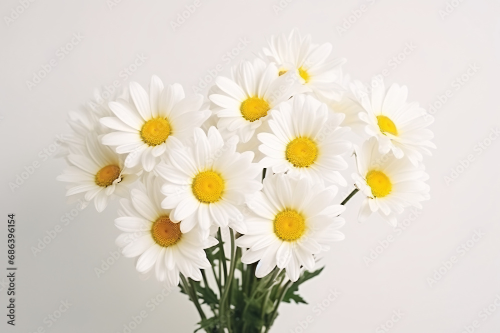 Obraz premium bouquet of daisies