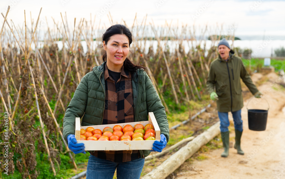 Obraz premium Positive Asian woman gardener holding wooden box full of tomatoes in vegetable garden. Man carrying bucket in background..