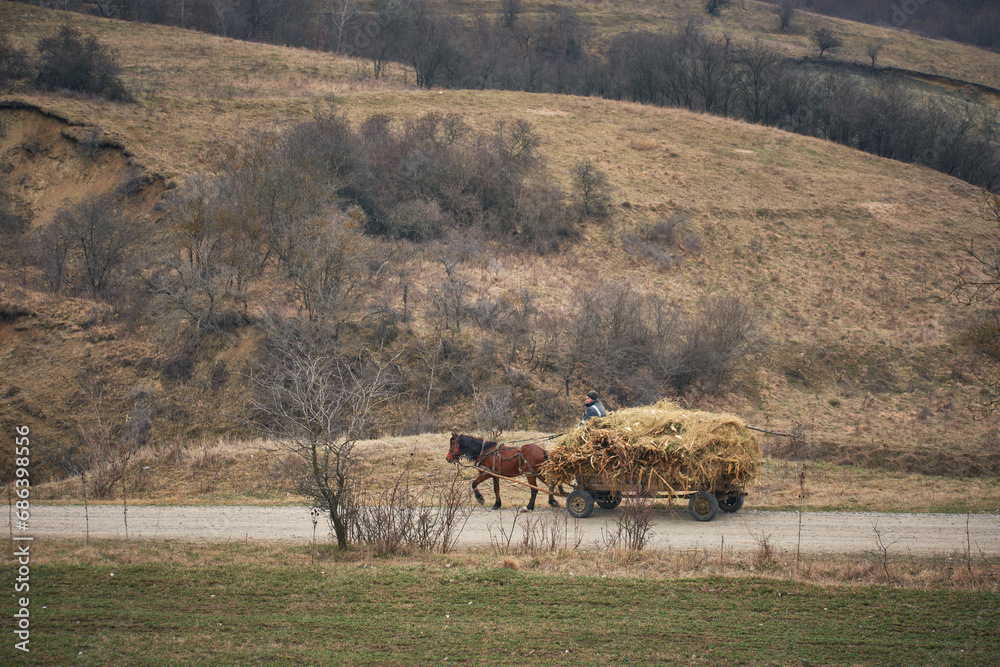 hay wagon drawn by a horse