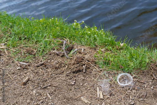 Close-up of discarded monofilament fishing line trash near the water's edge at a recreation area. Room for copy space.