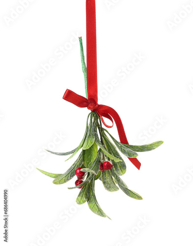 Mistletoe branch with bow o...