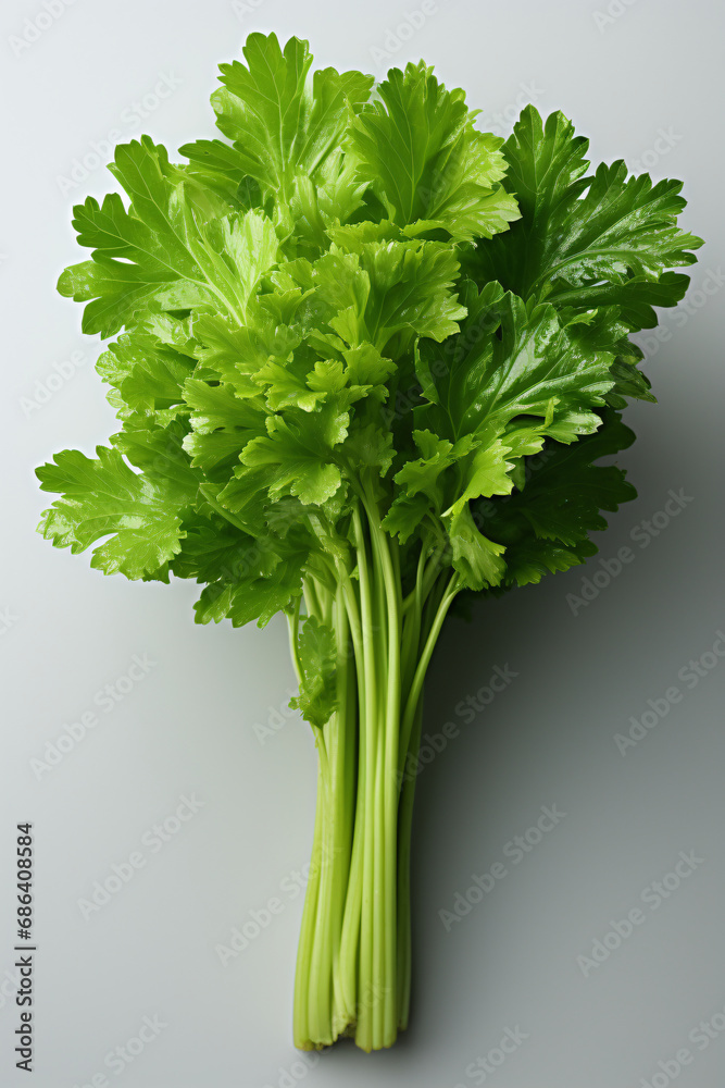 Celery .Portrait. Ideal for advertising or banner.