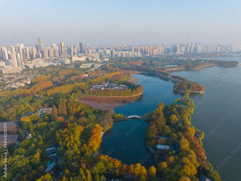 Late autumn scenery of Wuhan East Lake Scenic Area