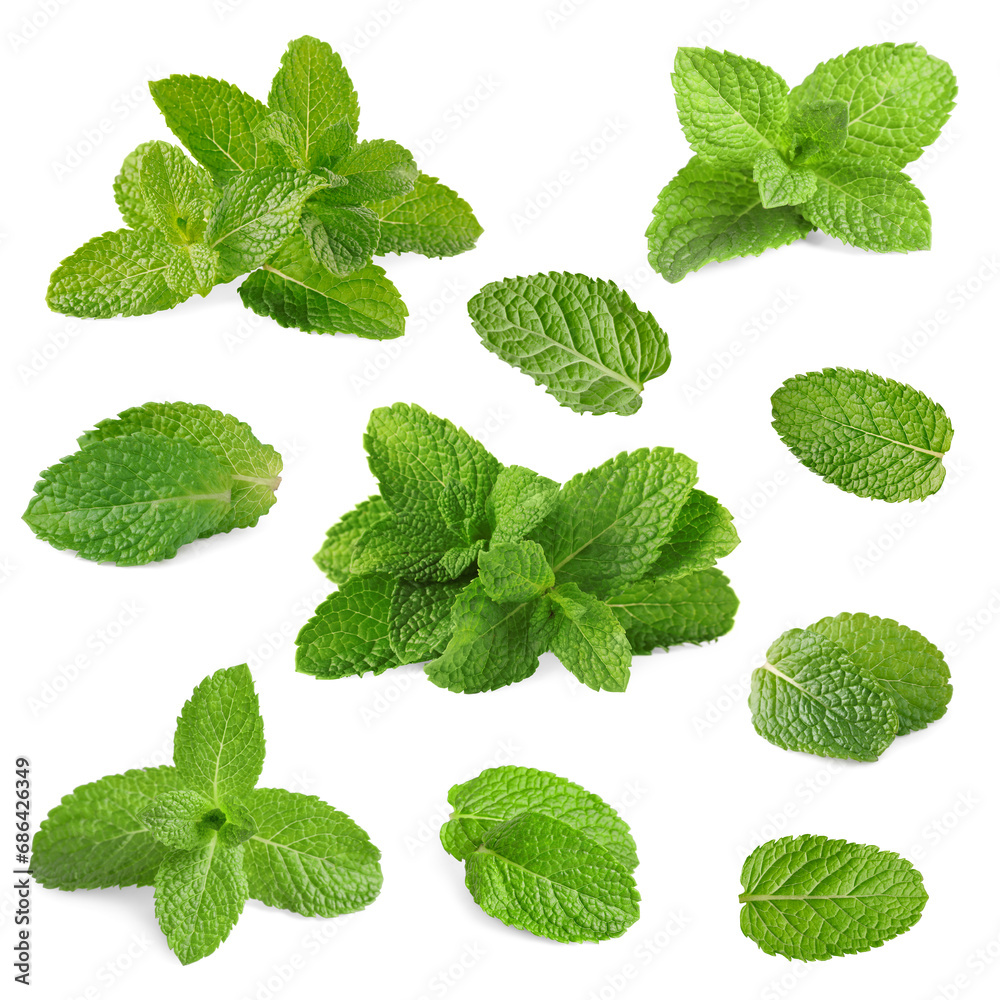 Fresh mint leaves isolated on white, set Fresh mint leaves isolated on white, set