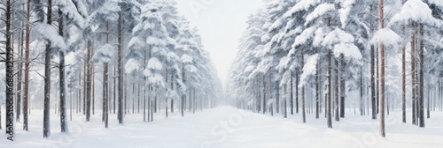 A Serene Journey Through the Whispering Pines: A Minimalist Panorama of a Snow-Covered Forest Path in the Heart of Winter © aicandy
