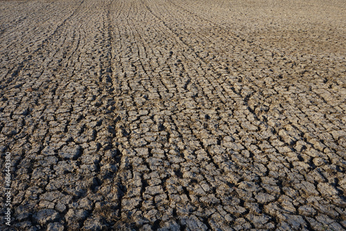 dry soil texture in the dry season