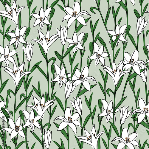 Fototapeta Naklejka Na Ścianę i Meble -  white lily growing wild, seamless pattern