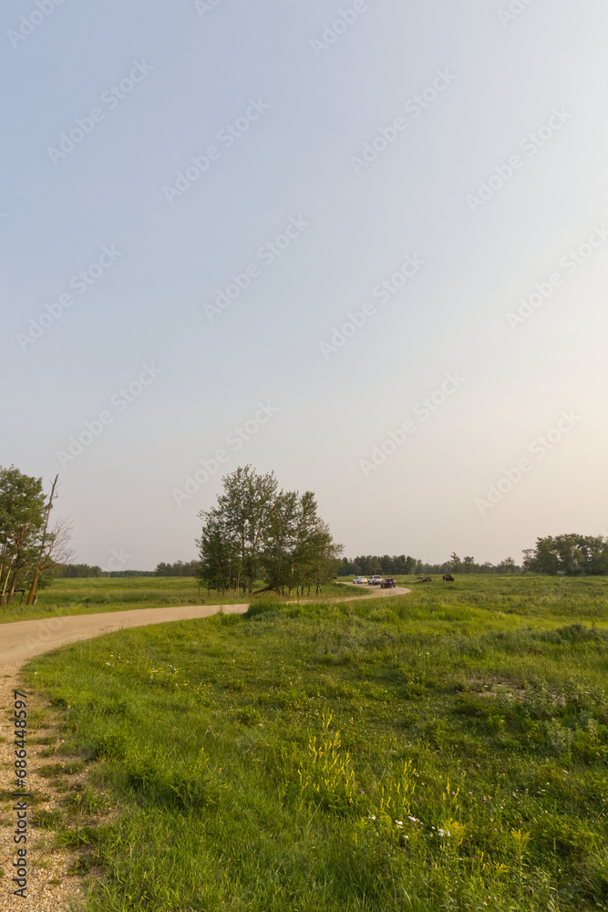 Summer Evening at Elk Island National Park Summer Evening at Elk Island National Park