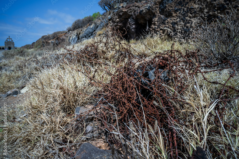 A coil of rusty barbed wire on the side of the road. A coil of rusty barbed wire on the side of the road.