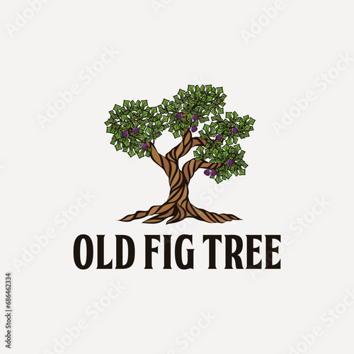 hand drawn old fig tree logo design