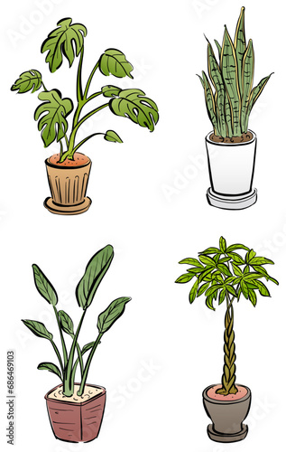 観葉植物のイラスト　セット