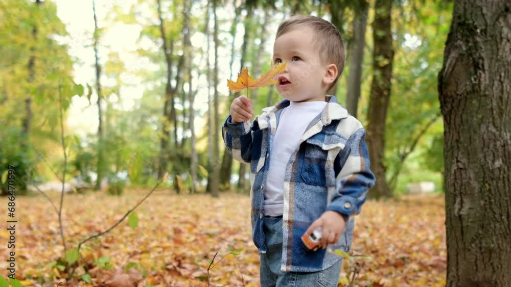 Close up portrait of happy baby boy during stroll in the forest at sunny autumn day. Active family time on nature. Hiking with little kids Close up portrait of happy baby boy during stroll in the forest at sunny autumn day. Active family time on nature. Hiking with little kids