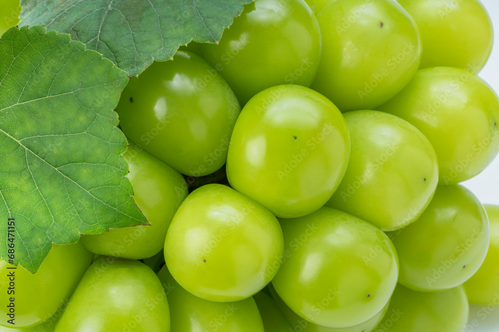 Shiny Shine Muscat with leaves, Close up shot of Fresh Green shine grape. Shiny Shine Muscat with leaves, Close up shot of Fresh Green shine grape.