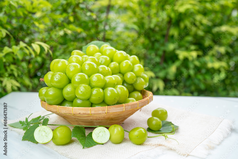 Green Grape in Bamboo basket on wooden table in garden, Shine Muscat Grape with leaves in blurred greenery background. Green Grape in Bamboo basket on wooden table in garden, Shine Muscat Grape with leaves in blurred greenery background.