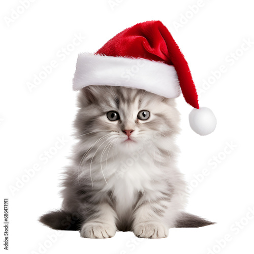 Cute Kitty Cat with Christmas Hat No Background Applicable to Any Context Perfect for Print on Demand Merchandise © Kevin