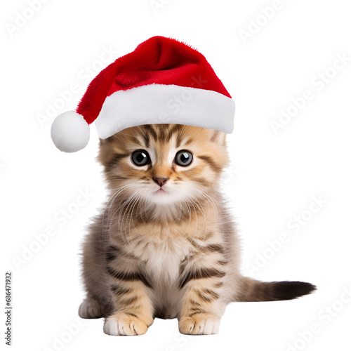 Cute Kitty Cat with Christmas Hat No Background Applicable to Any Context Perfect for Print on Demand Merchandise © Kevin