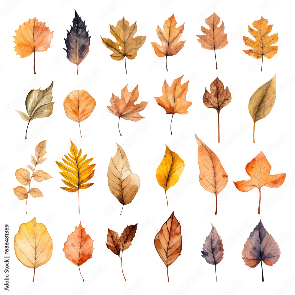 Obraz premium set of leaves