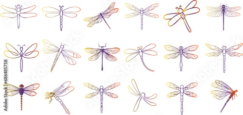 dragonfly vector illustration Vibrant, hand-drawn featuring a seamless pattern of colorful dragonflies. Perfect for spring and summer designs, 