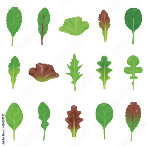 ベビーリーフセット