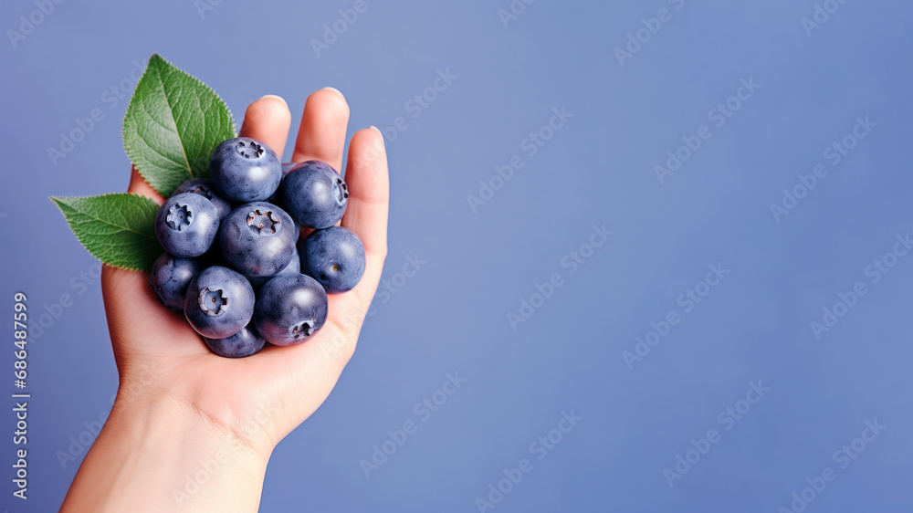 Hand holding blueberry fruit isolated on pastel background Hand holding blueberry fruit isolated on pastel background