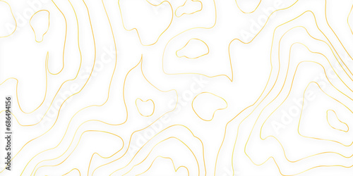  Modern design with golden background with topographic wavy pattern design. paper texture Imitation of a geographical map