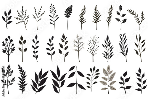 Set of silhouettes of branches and leaves. Hand drawn vector botanical elements. generative ai.