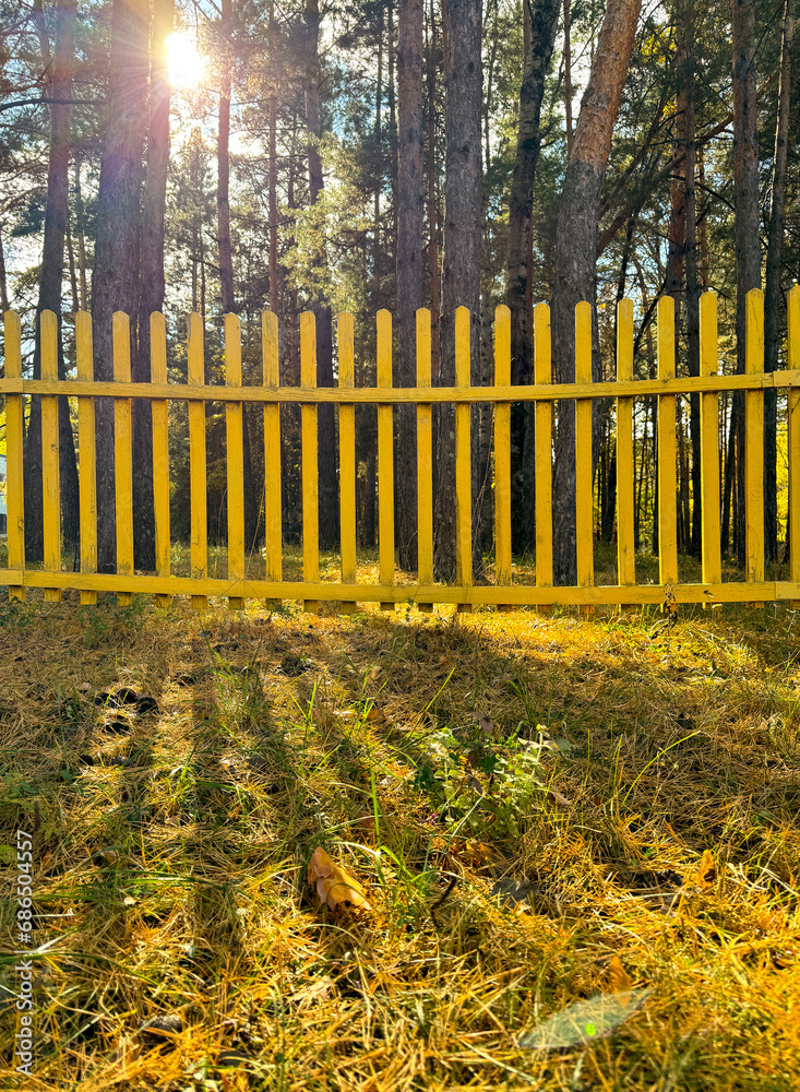 Yellow wooden fence in nature. Background
