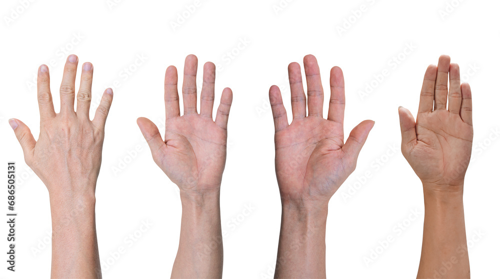 Group of hands raised up, Isolated on transparent background Group of hands raised up, Isolated on transparent background