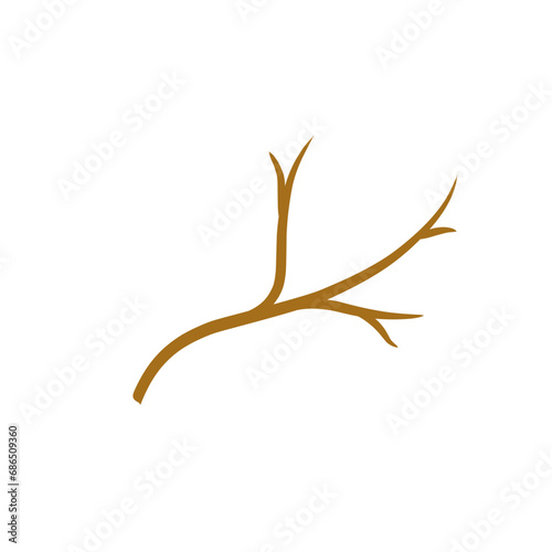 Dry wooden tree branches