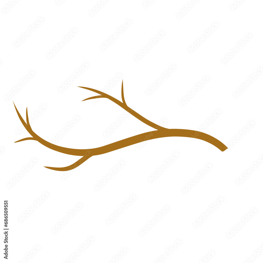 Dry wooden tree branches Dry wooden tree branches