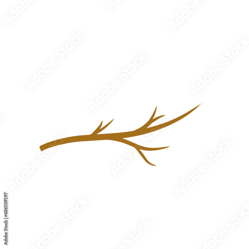 Dry wooden tree branches