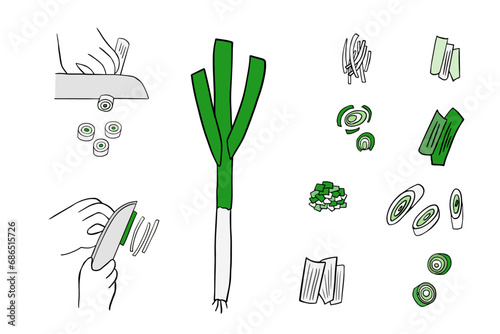 ねぎの切り方のイラスト