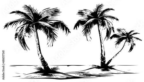 Sketch of a tropical beach with palm trees and the sea. Hand drawn illistration converted to vector photo