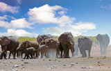 Herd of elephants shrouded in mist - the ground is very dry and they are kicking up a dust stoem.