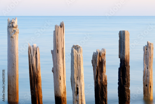 A row of wooden posts in the water on a beach