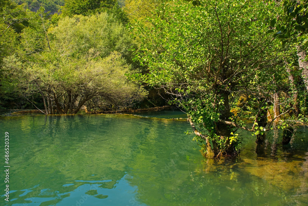 The River Una below Milancev Buk waterfall at Martin Brod in Una-Sana Canton, Federation of Bosnia and Herzegovina. Located in Una National Park, it is also known as Veliki Buk or Martinbrodski