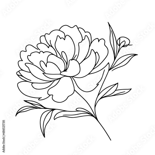 Fototapeta Naklejka Na Ścianę i Meble -  Hand drawn peony flower outline vector floral illustration. Botanical ink pen drawing for modern decor, cards, logo.