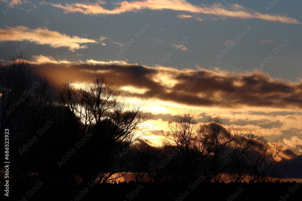 Picturesque landscape with silhouettes of trees and clouds at sunset
